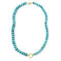 Turquoise Charm Carrier